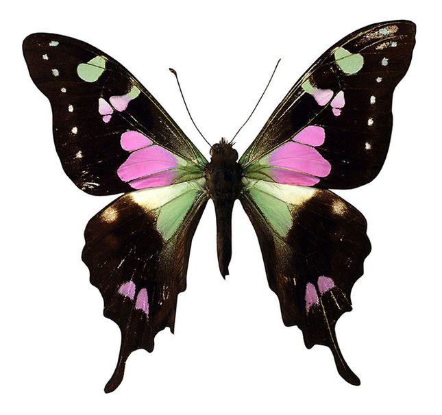 Feeling Stuck? 10 Ways to Re-Invent and Chisel Your Life (continued)