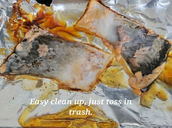 salmon 4.jpg
