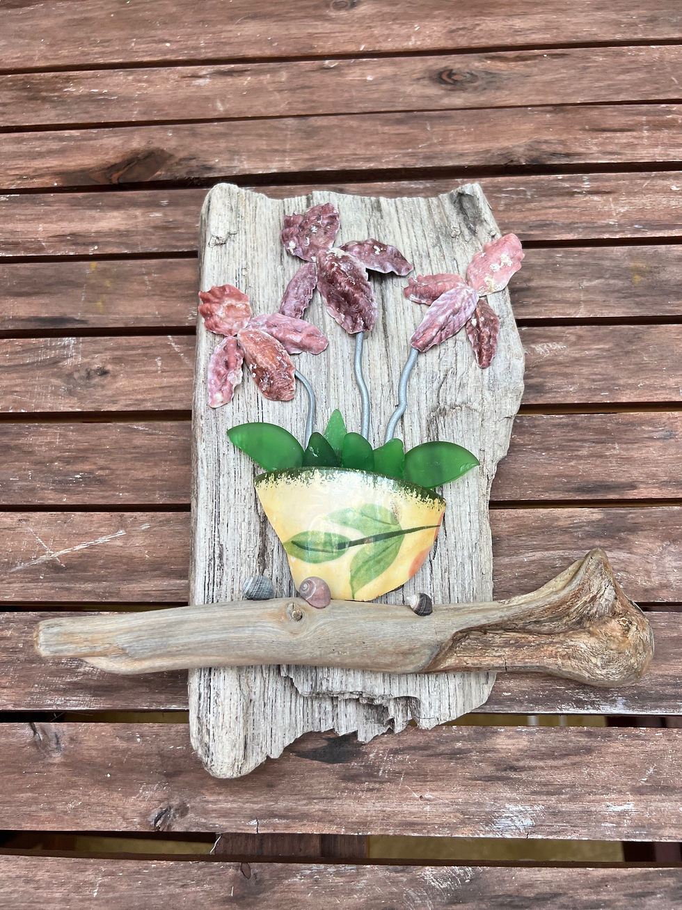 Thumbnail: Potted Sea Iris