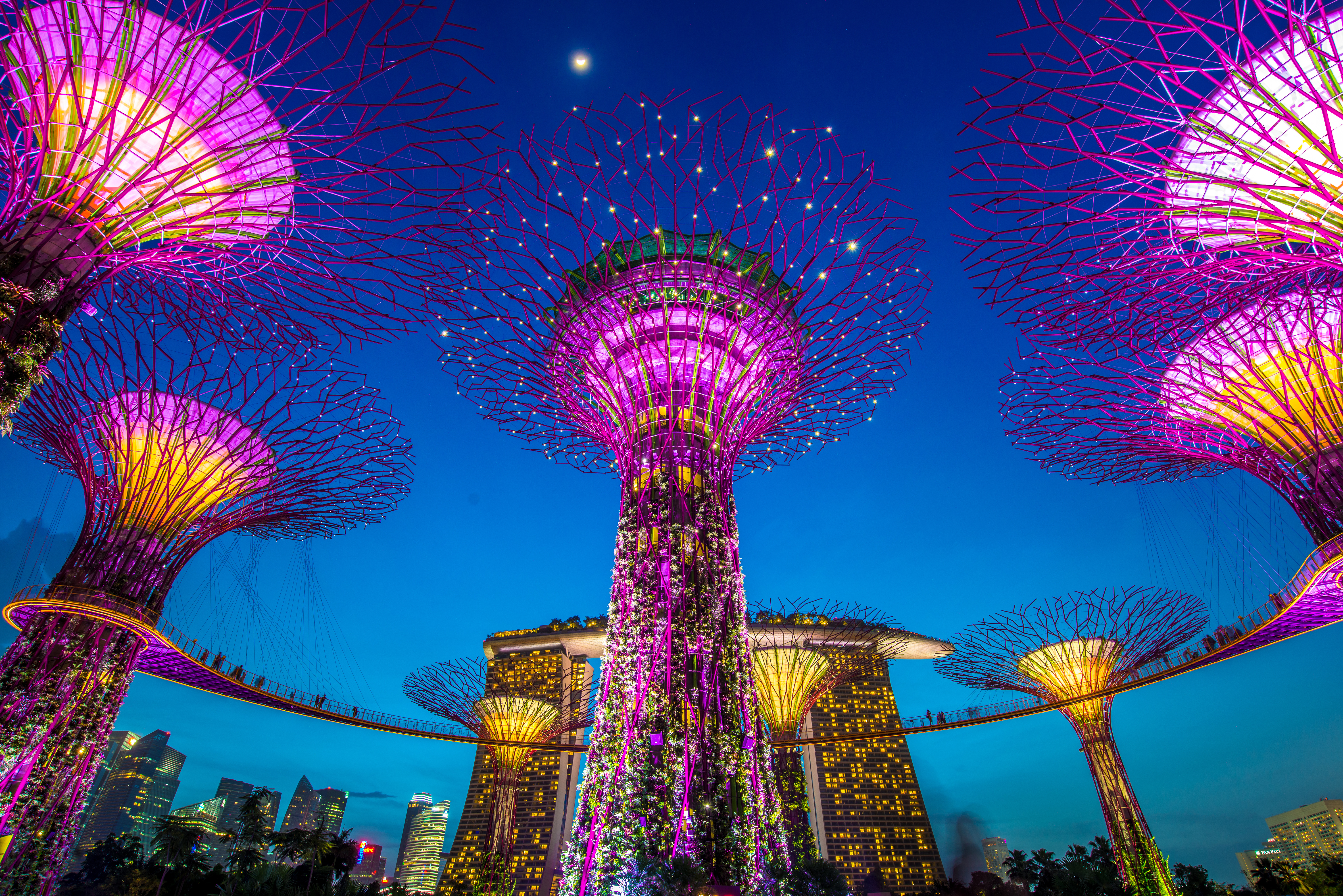 AdobeStock_88428296