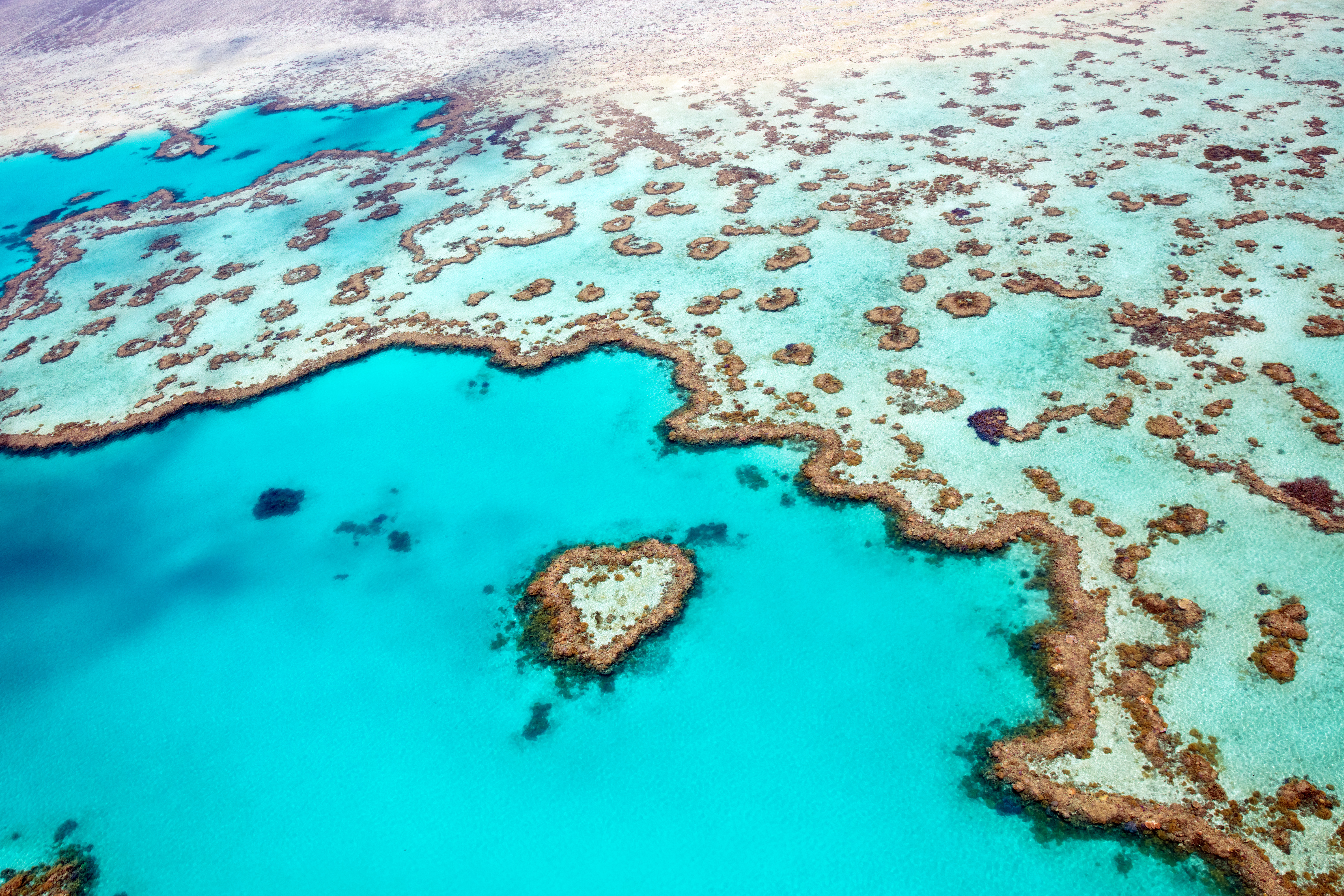 Heart Reef