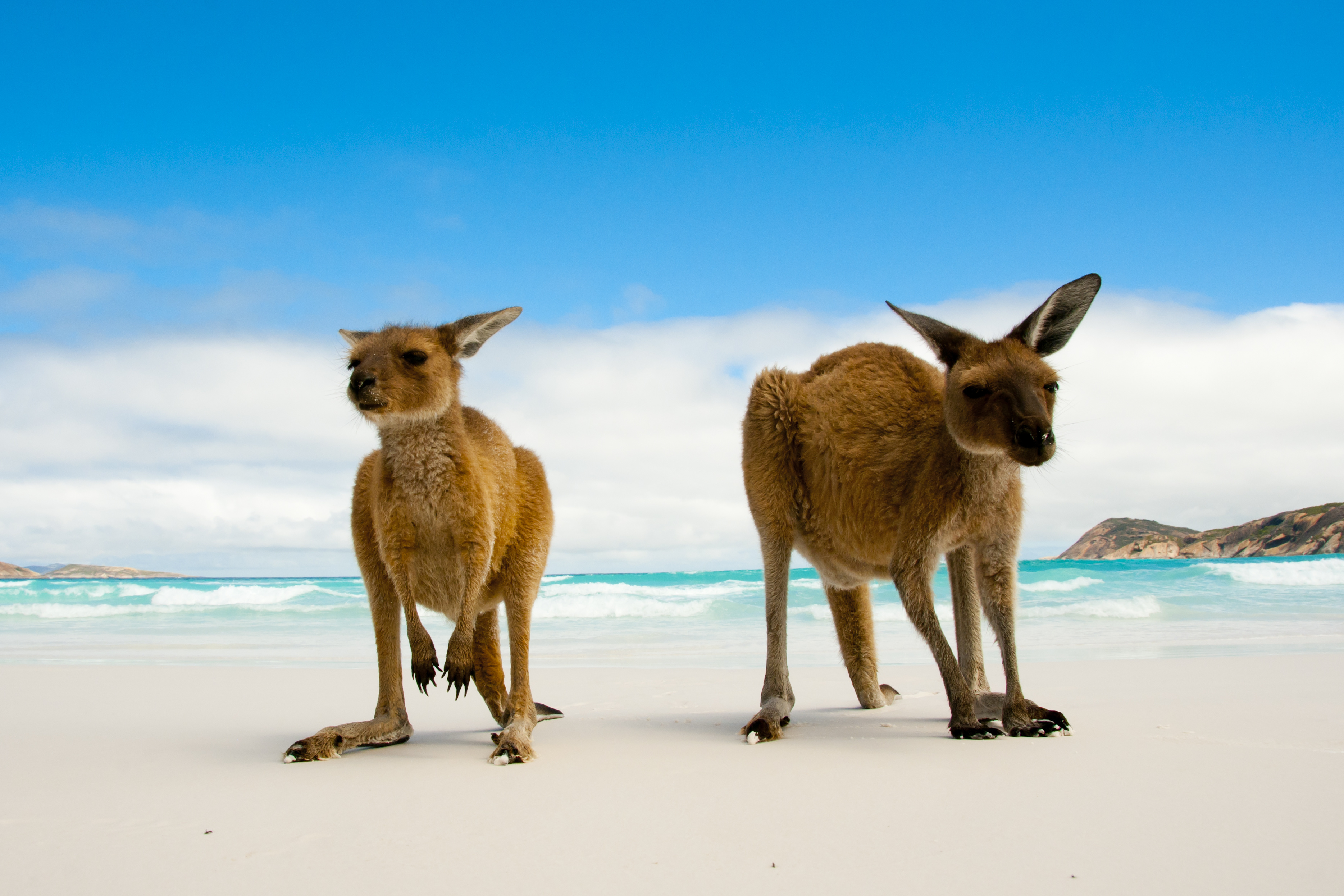 Lucky Bay