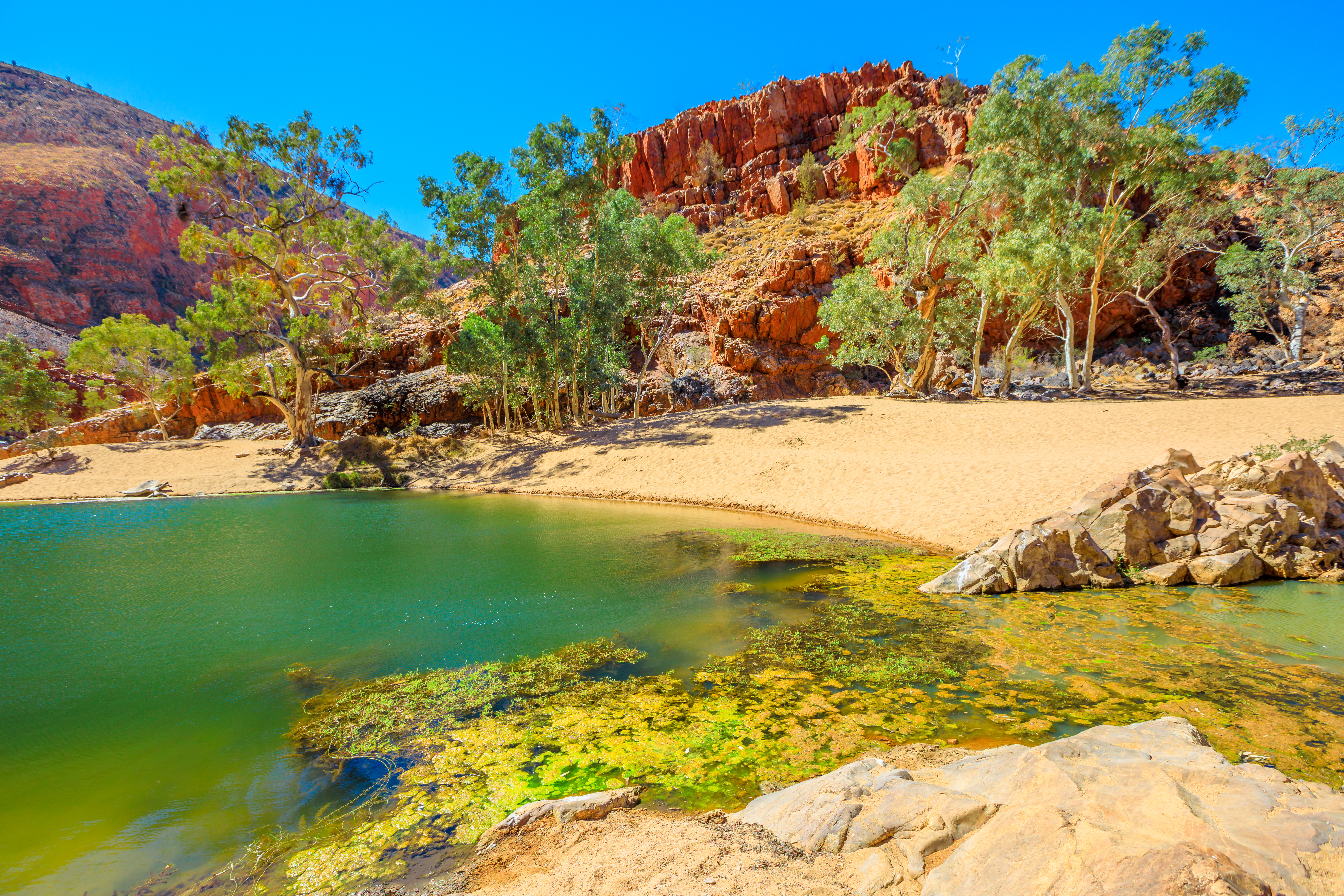 Ormiston Gorge Water Hole - West MacDonn