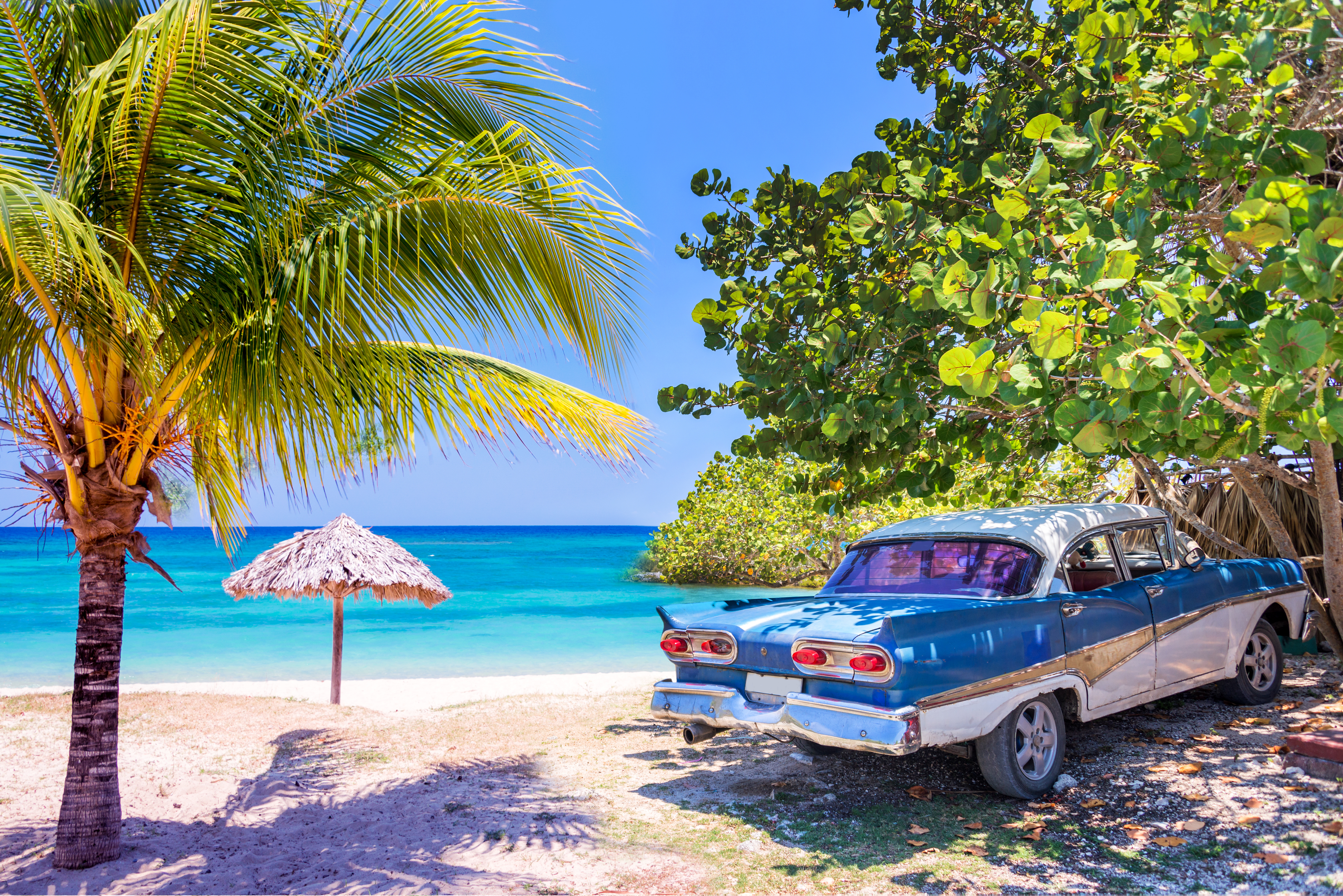 AdobeStock_115063899
