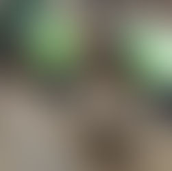 Quick response by Cervantes PNP