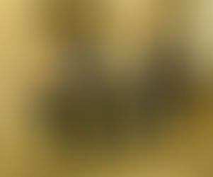 YOUTH LEADERSHIP IN GOOD GOVERNANCE FELLOWSHIP PROGRAM