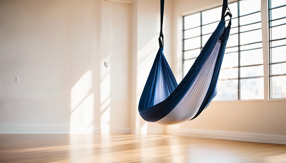 Elevate: Aerial Yoga and Music Workshop