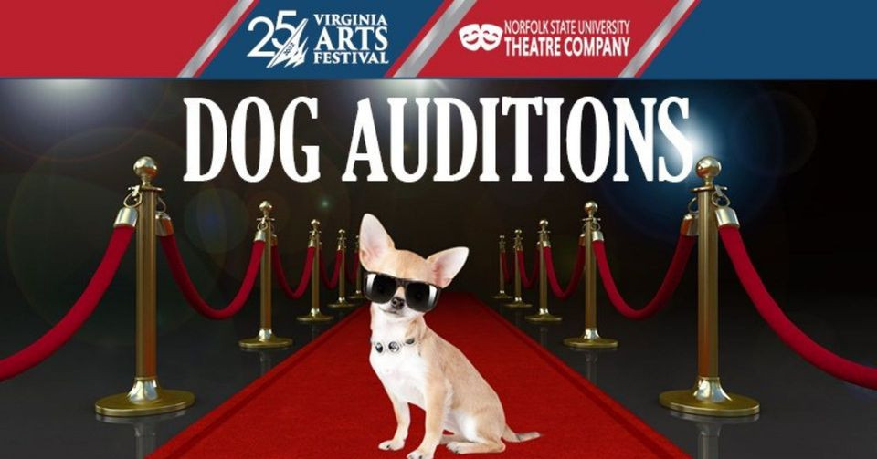 A tiny dog in sunglasses and a necklace sits on a red carpet under the words "Dog Auditions" with the Virginia Arts Festival and Norfolk State University Theatre Company logos.