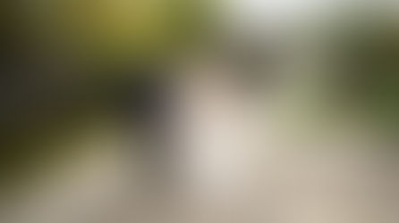 Bride and groom smiling, holding hands in a Japanese garden. She wears a white gown, he a dark suit. Lush greenery and traditional gate.