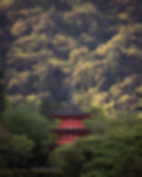 Early morning is the best time to enjoy Kyoto