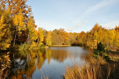 DSC_1293.JPG