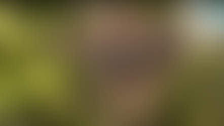 LA LIMIER - Réuni'Son