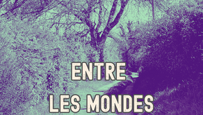 ENTRE LES MONDES, Recueil de poèmes