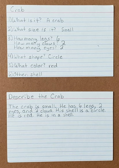 A notecard with a paragraph describing the crab. It reads, "The crab is small. He has six legs, two eyes, and two claws. His shell is a circle. He is red. He is in a shell."