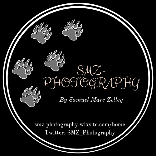 Writer: samuelmzelley