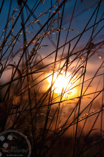 IMG_0601-01-02.jpeg