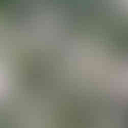 Lubuskie na trasie emocji – relacja z Armagedonu