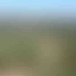 Tajemnice Lubuskiego: Opuszczony kombinat DAG Alfred Nobel w Krzystkowicach