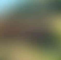 Atrakcje Lubuskiego: Spacer po Parku Mużakowskim