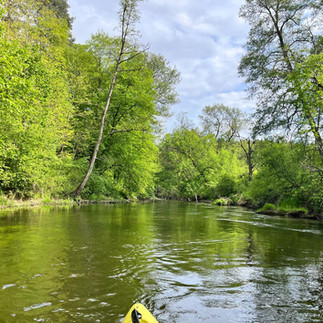 Gdzie na kajaki w Lubuskiem? 10 najciekawszych rzek na spływ kajakowy