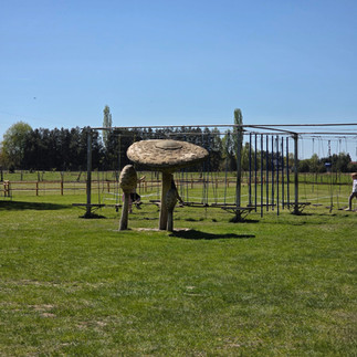 Park Dinozaurów Nowiny Wielkie – najlepsza atrakcja dla dzieci w Lubuskiem | Rodzinny hit bez nudy