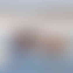 I Zimowy Spływ Kajakowy Świerkocin 2026 na rzece Warcie – wyjątkowa przygoda w Lubuskiem