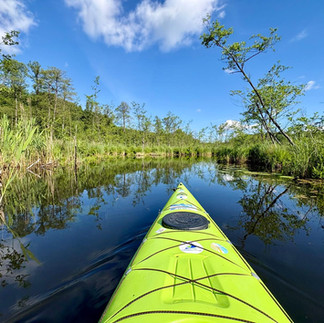 Amazonia w Polsce? Kajakiem przez Jezioro Lipie, Słowa i Osiek. Ten widok odbiera mowę