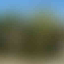 Folwark Długie – Idealne Miejsce na Wyjątkowe Eventy