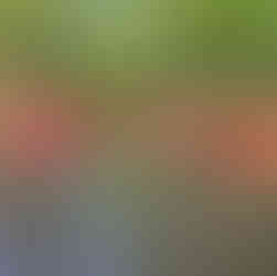 Gorzowski spływ miejski rzeką Kłodawką ze Stowarzyszeniem EuroJumelages – aktywnie i blisko natury! 