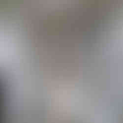 XIV Międzynarodowy Rajd Euro Jumelages NYSA–ODRA 2025