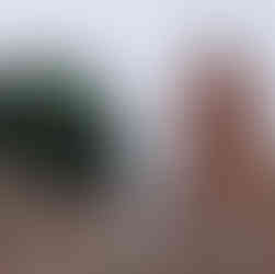 Historycznym szlakiem Miejskim Strzelec Krajeńskich