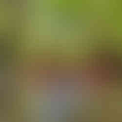 Gorzowski spływ miejski rzeką Kłodawką ze Stowarzyszeniem EuroJumelages – aktywnie i blisko natury! 