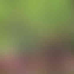 Gorzowski spływ miejski rzeką Kłodawką ze Stowarzyszeniem EuroJumelages – aktywnie i blisko natury! 