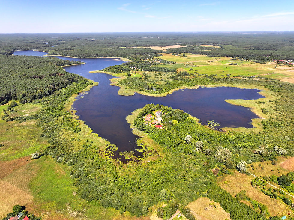 Jezioro Radęcino – cisza, natura i jedno z tych miejsc, które naprawdę warto odwiedzić