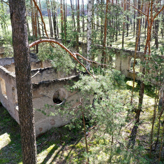 Tajemnice Lubuskiego: Opuszczony kombinat DAG Alfred Nobel w Krzystkowicach