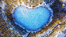 Miłość jest bliżej, niż myślisz…