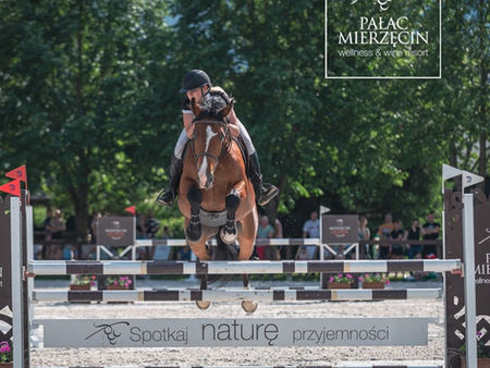 Pałac Mierzęcin zaprasza na Horse Show 2026 – Program i Najważniejsze Atrakcje
