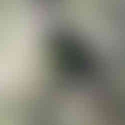 Tajemnice Lubuskiego: Opuszczony kombinat DAG Alfred Nobel w Krzystkowicach