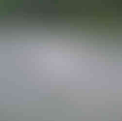 Lubuscy Kolumbowie wyruszyli w rejs!