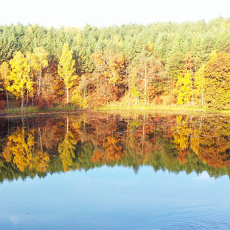 Serce natury w jesiennej odsłonie