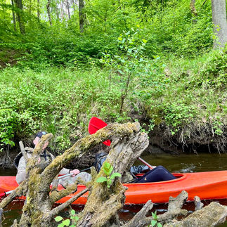Spływy kajakowe z El Canoe na rzece Obrze!