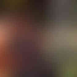 Wystrzałowy Dzień Kobiet w Gorzowie – panie celowały w dziesiątkę