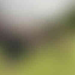 Społecznicy pokazali, że razem można góry (śmieci) przenosić!