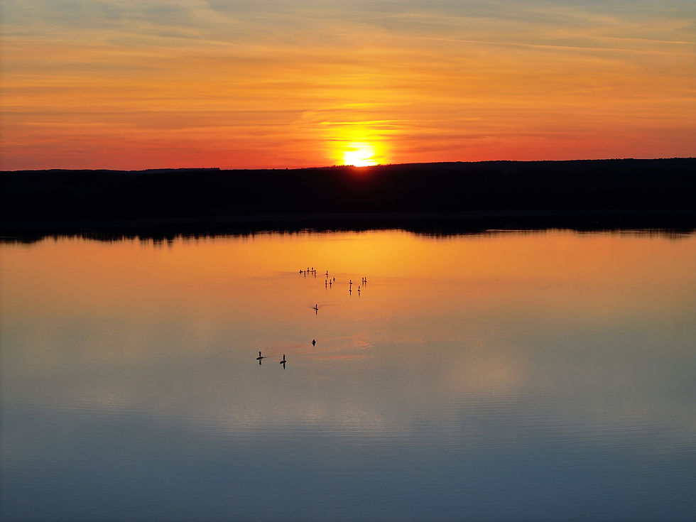 Najpiękniejsze zachody słońca w Lubuskiem – TOP miejsca nad jeziorami i w naturze