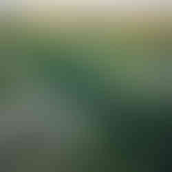 Lubuski Armagedon 4x4 – ruszyły przygotowania trasy!