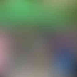 Społecznicy pokazali, że razem można góry (śmieci) przenosić!