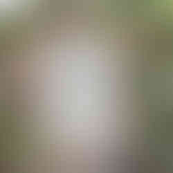 Piastowski Zamek Królewski w Międzyrzeczu – średniowieczna atrakcja województwa lubuskiego