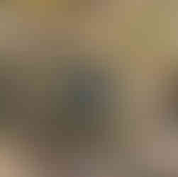 Marzęcin (Marienspring) – nieistniejąca wieś w gminie Kłodawa. Historia, ruiny i miejsce pamięci