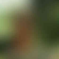 Folwark Długie – Idealne Miejsce na Wyjątkowe Eventy