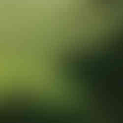 Zakończenie sezonu pstrągowego 2025 